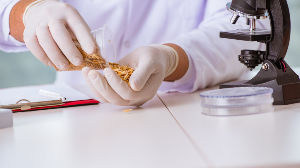 Why Does Food Need Testing?