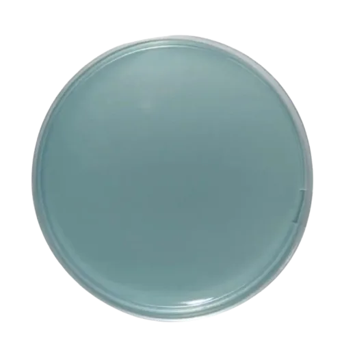 22887-cled agar