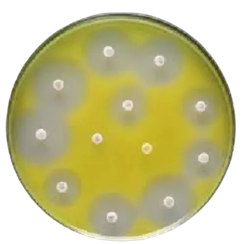 44883-mueller-hinton-agar-100mm