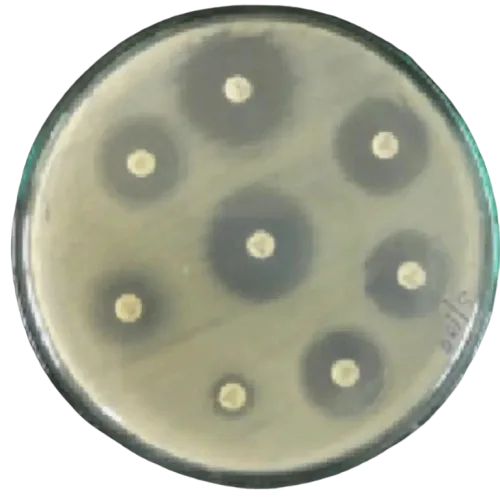 88443-mueller-hinton-agar-90mm