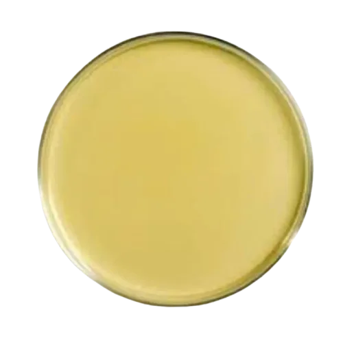87327-sabouraud dextrose agar
