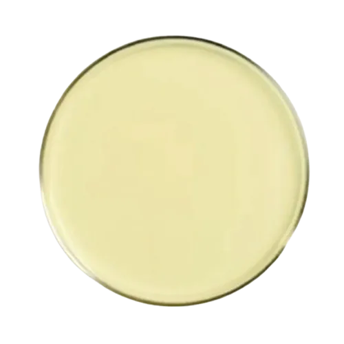 66636-nutrient agar